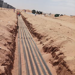 WhatsApp Image 2025-09-10 at 17.12.51_0a48c1cd 1